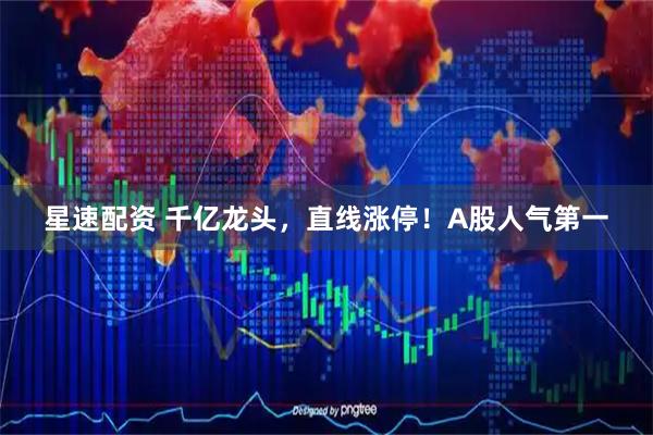 星速配资 千亿龙头，直线涨停！A股人气第一