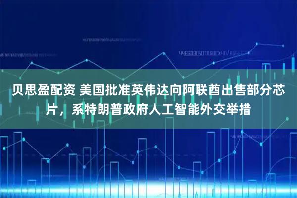 贝思盈配资 美国批准英伟达向阿联酋出售部分芯片，系特朗普政府人工智能外交举措