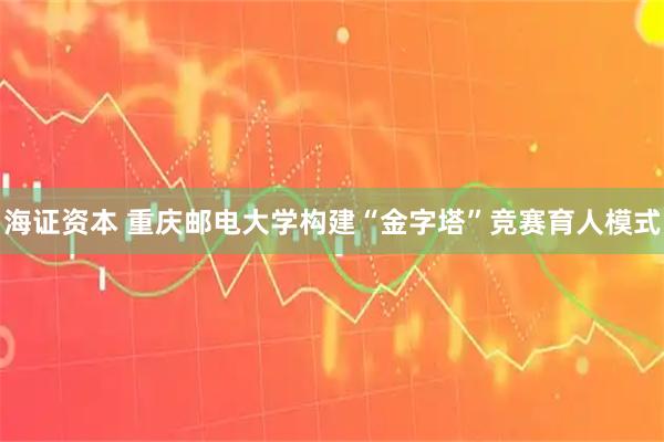海证资本 重庆邮电大学构建“金字塔”竞赛育人模式
