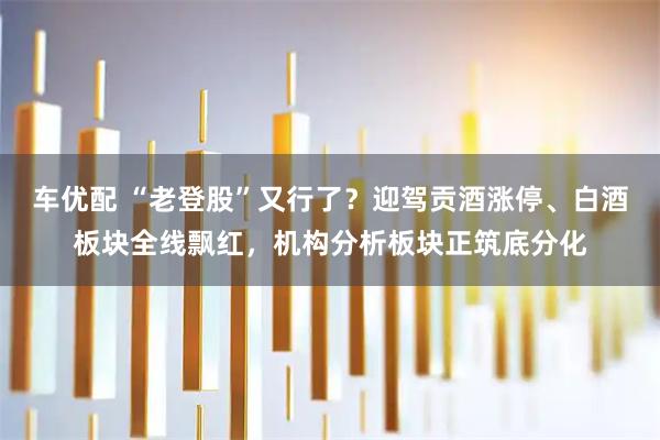 车优配 “老登股”又行了？迎驾贡酒涨停、白酒板块全线飘红，机构分析板块正筑底分化